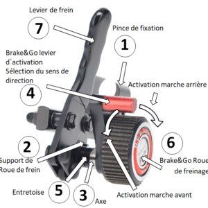 Fiche technique Top First Shem1