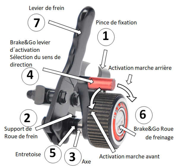 Fiche technique Top First Shem1